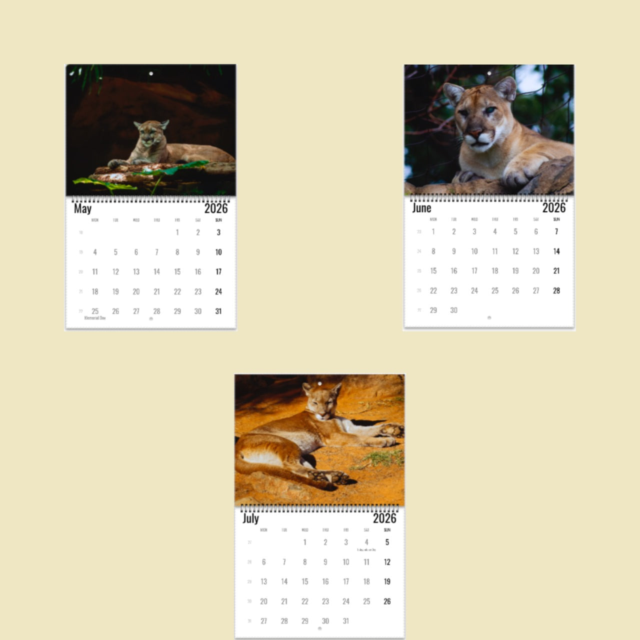 Mountain Lion Wall Calendar 2026