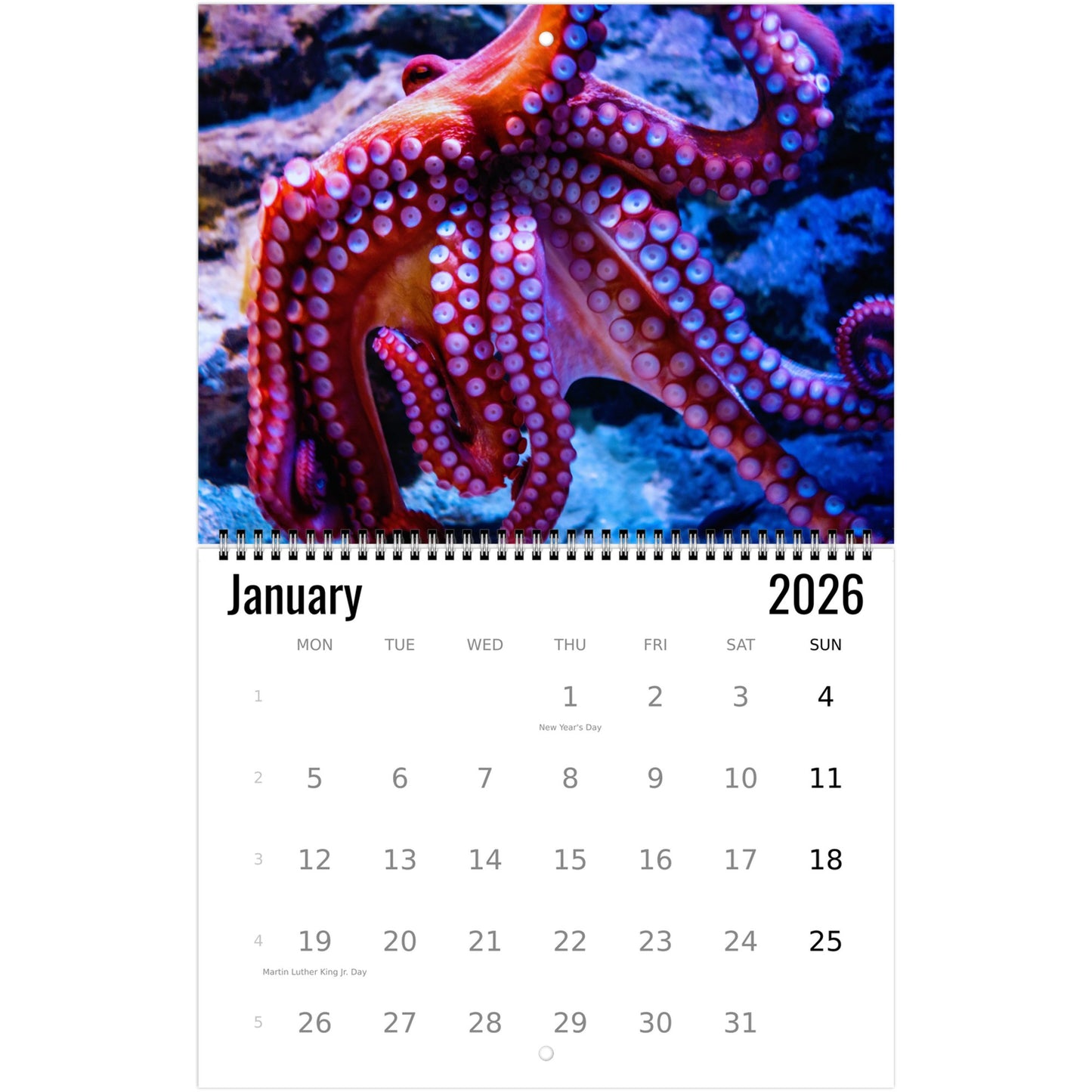 Calendar for January 2026 with a colorful octopus on a blue background