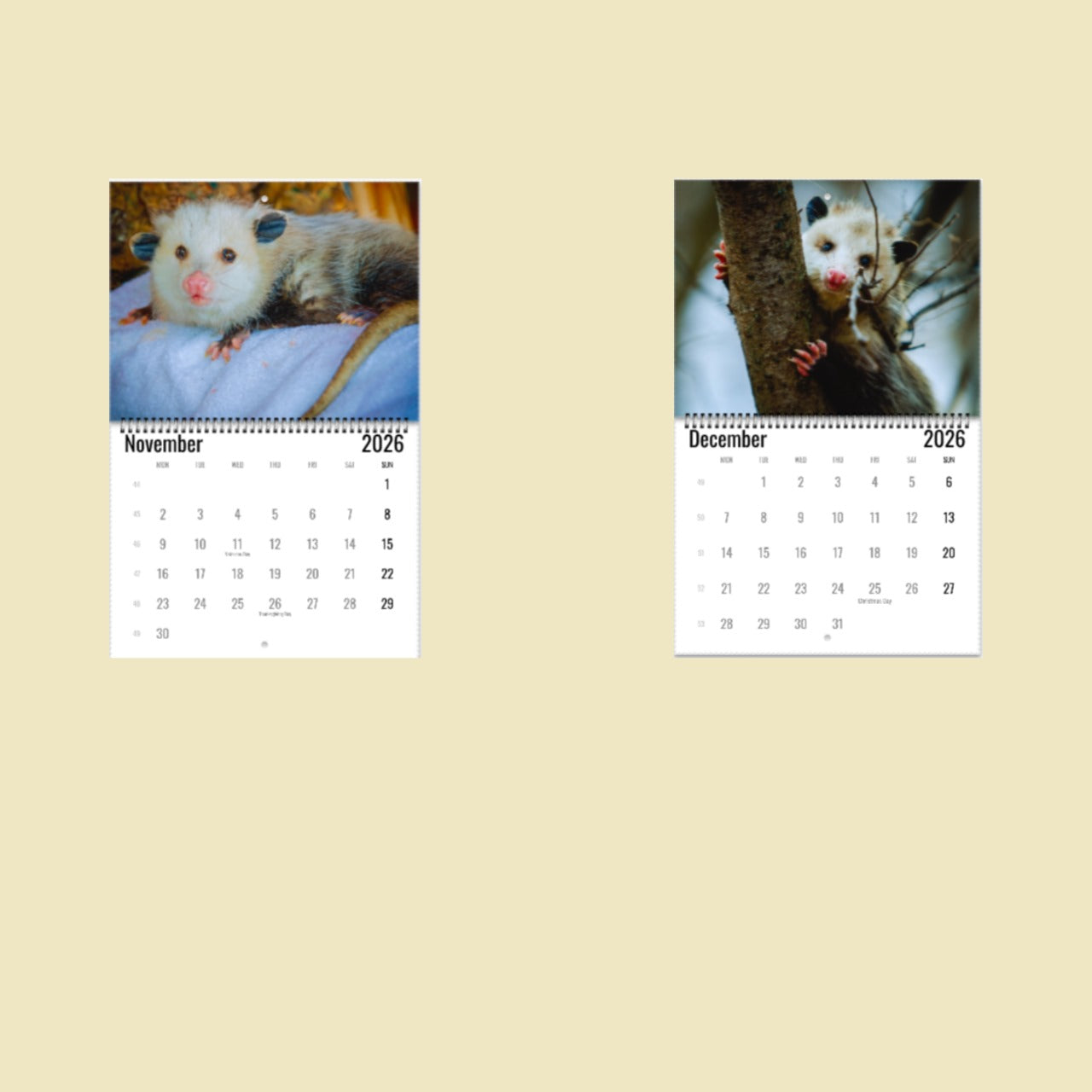 Opossum Wall Calendar 2026