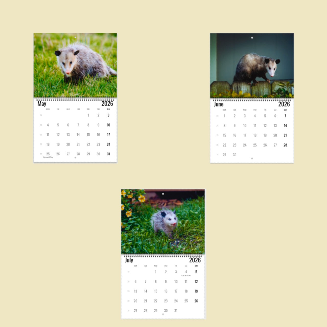 Opossum Wall Calendar 2026