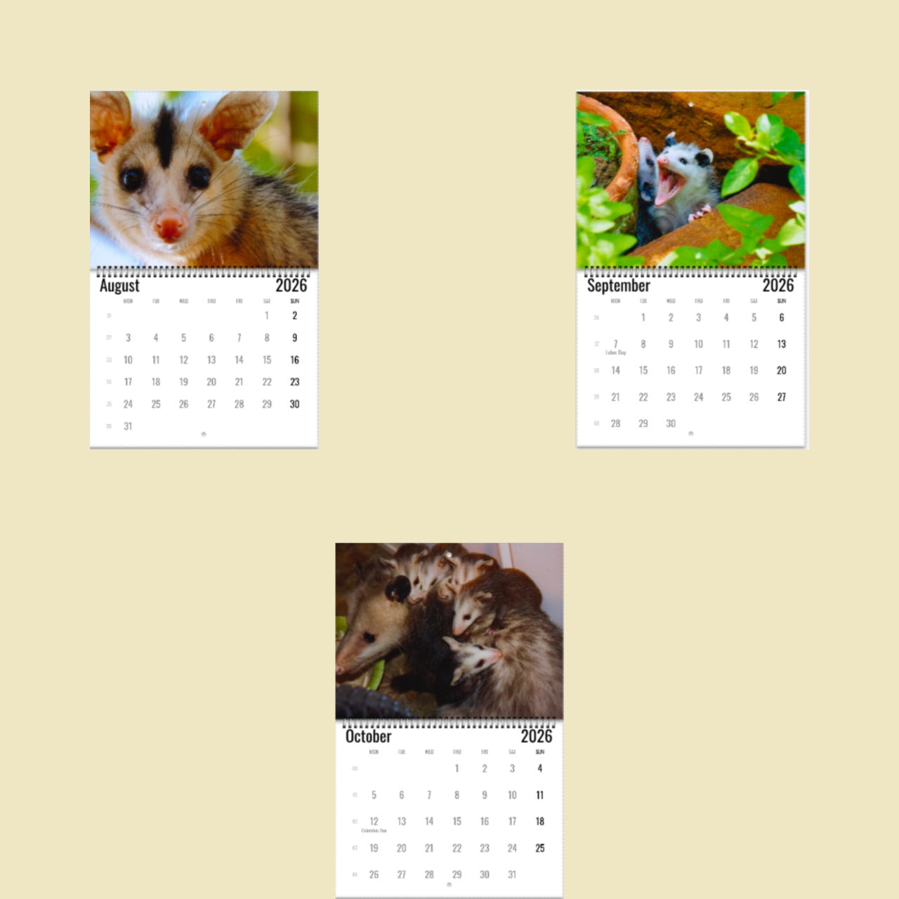 Opossum Wall Calendar 2026