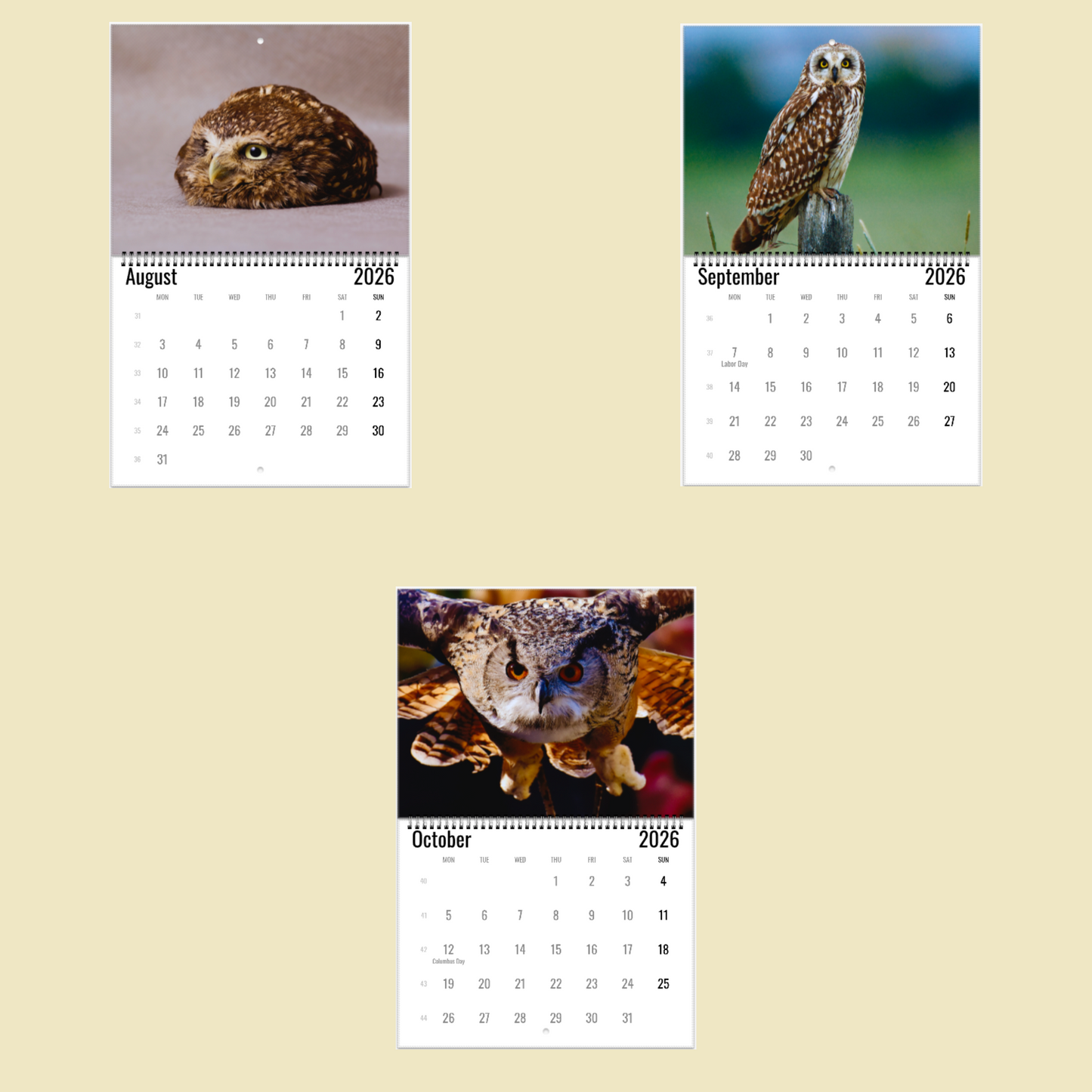 Owl Wall Calendar 2026