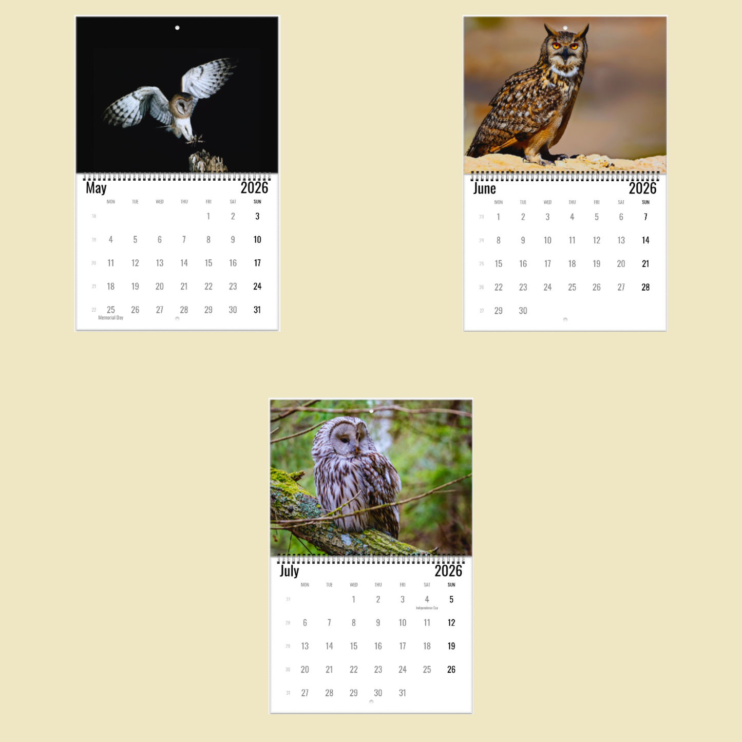 Owl Wall Calendar 2026