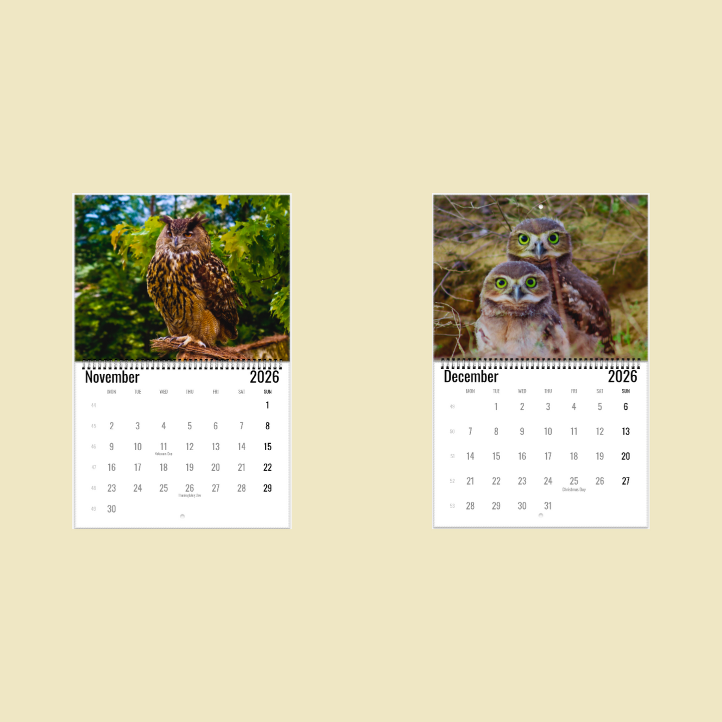 Owl Wall Calendar 2026