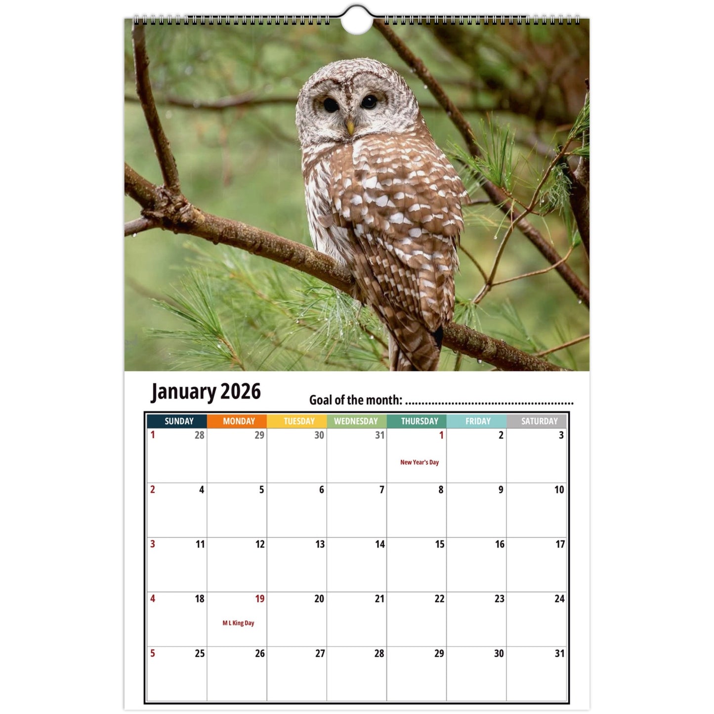 Owl Calendar 2026
