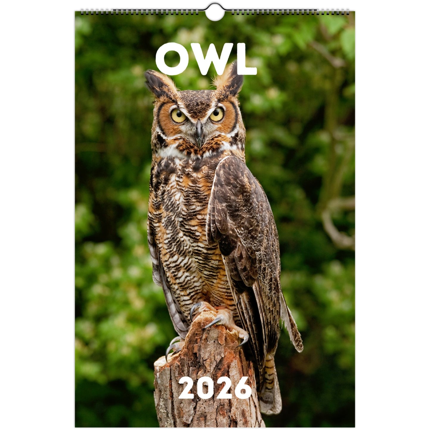 Owl Wall Calendar 2026