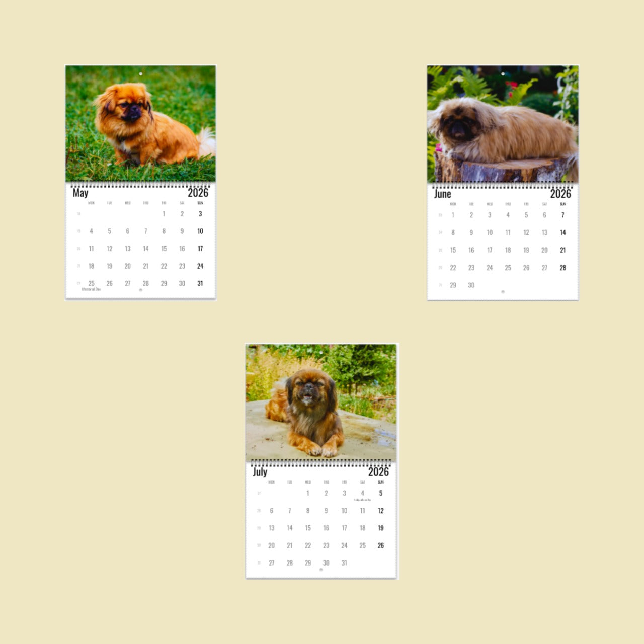 Pekingese Wall Calendar 2026