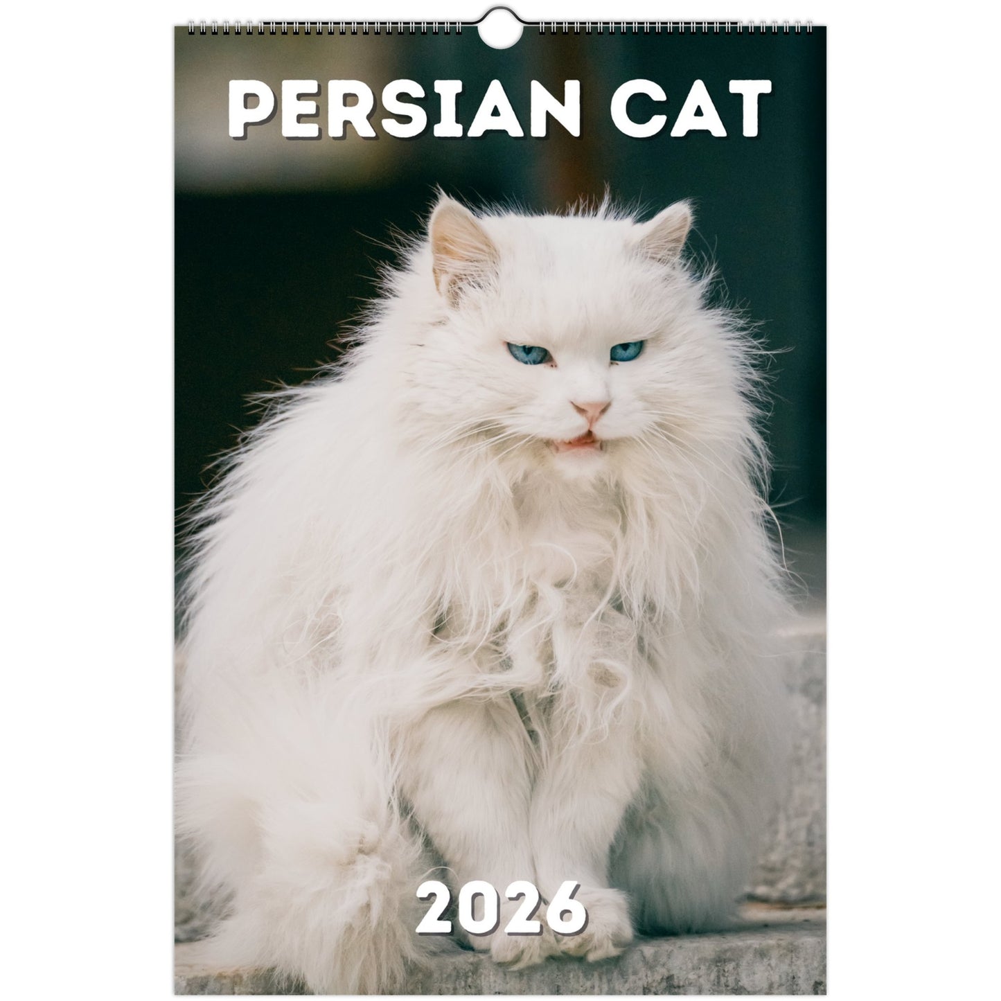 Persian Cat Wall Calendar 2026