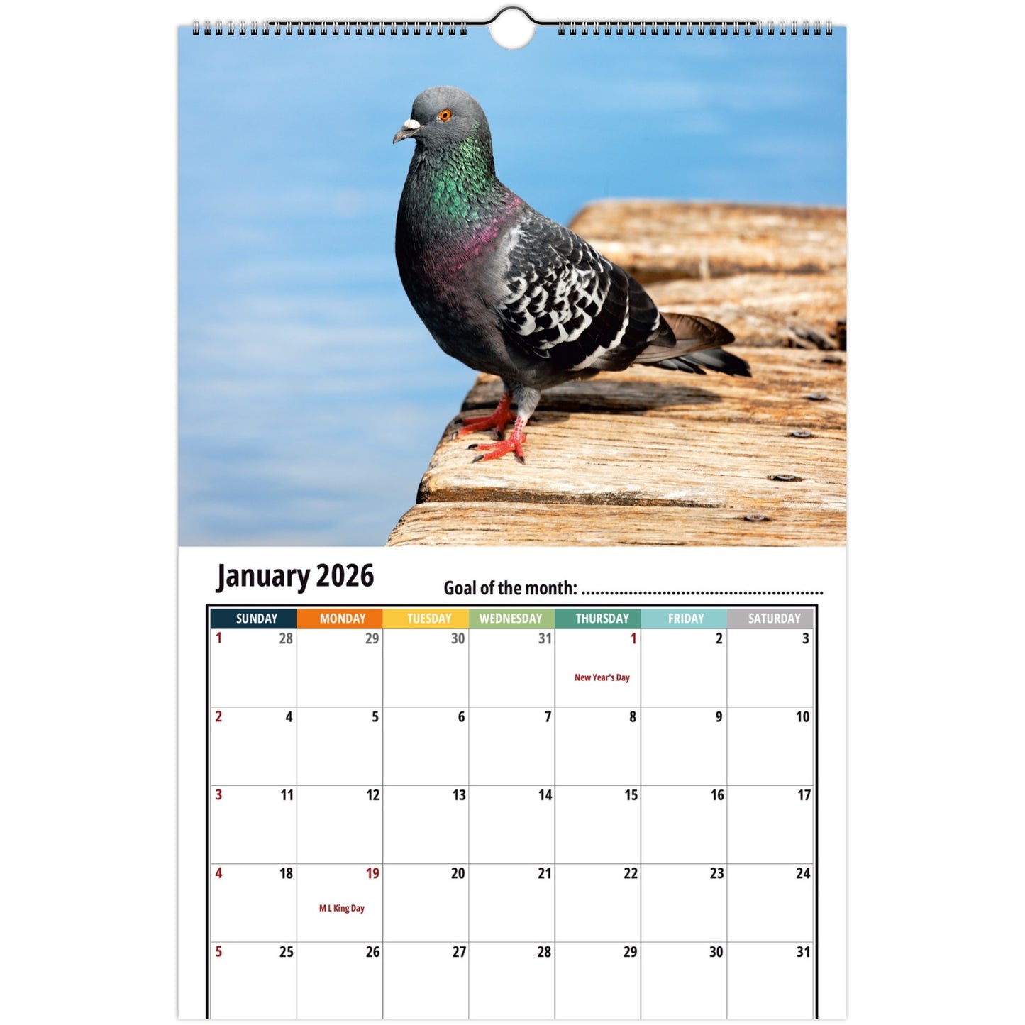 Pigeon Wall Calendar 2026 1