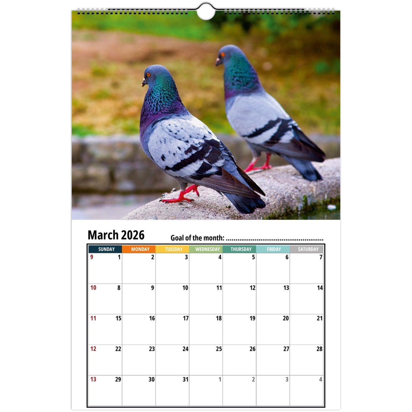 Pigeon Wall Calendar 2026 2