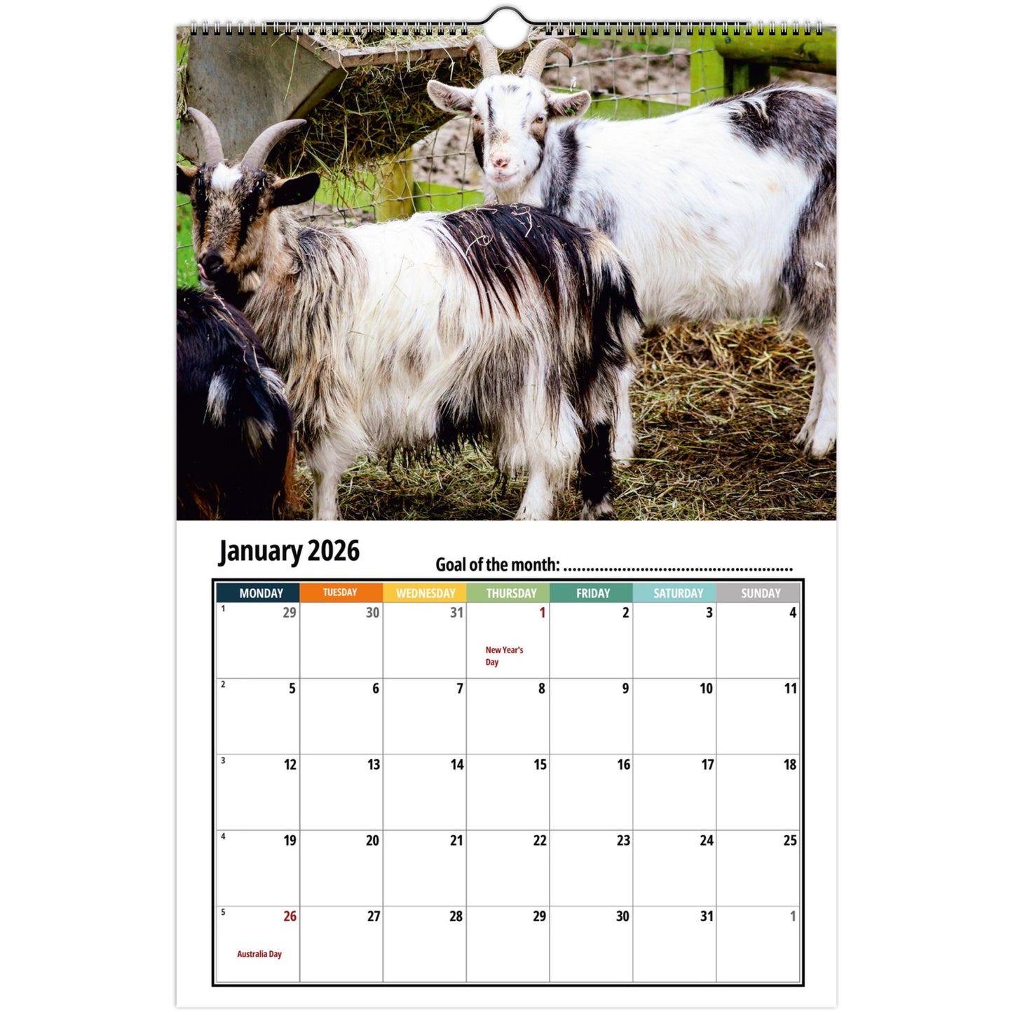 Pygmy Goat Calendar 2026