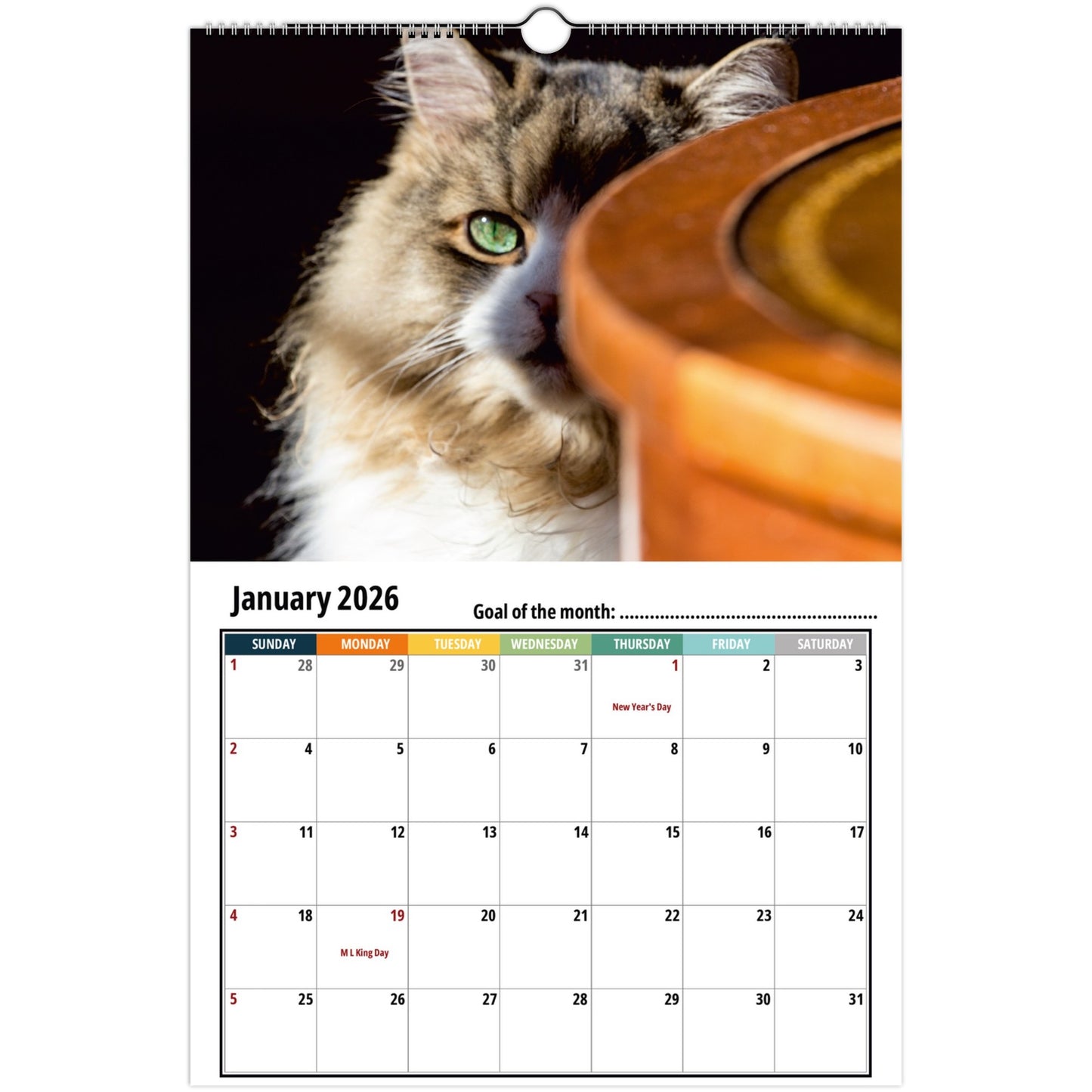 Ragamuffin Cat Calendar 2026