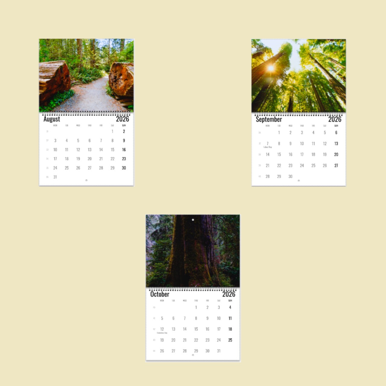 Redwood National Park Wall Calendar 2026