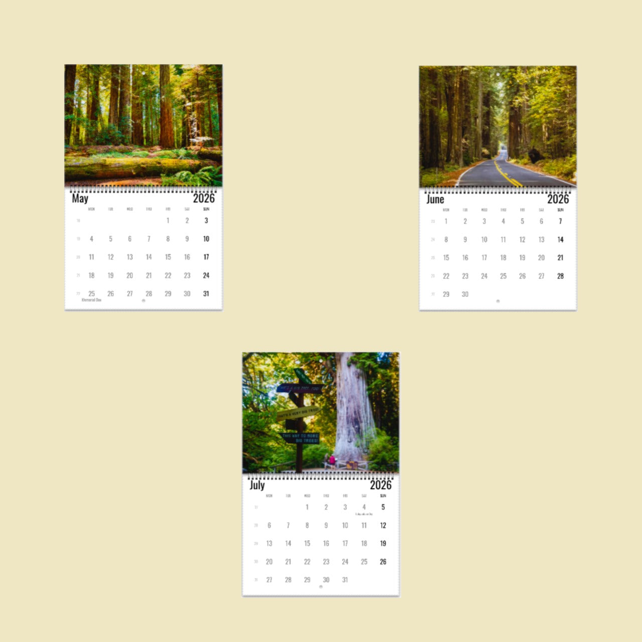 Redwood National Park Wall Calendar 2026