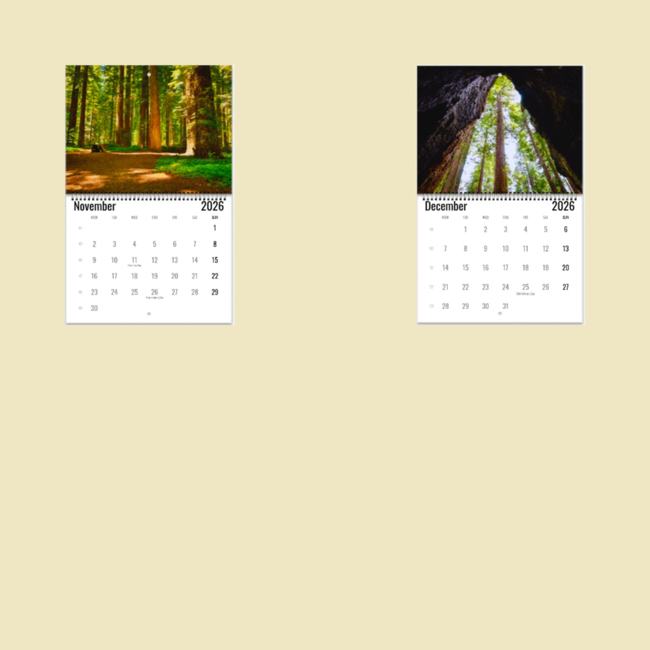 Redwood National Park Wall Calendar 2026