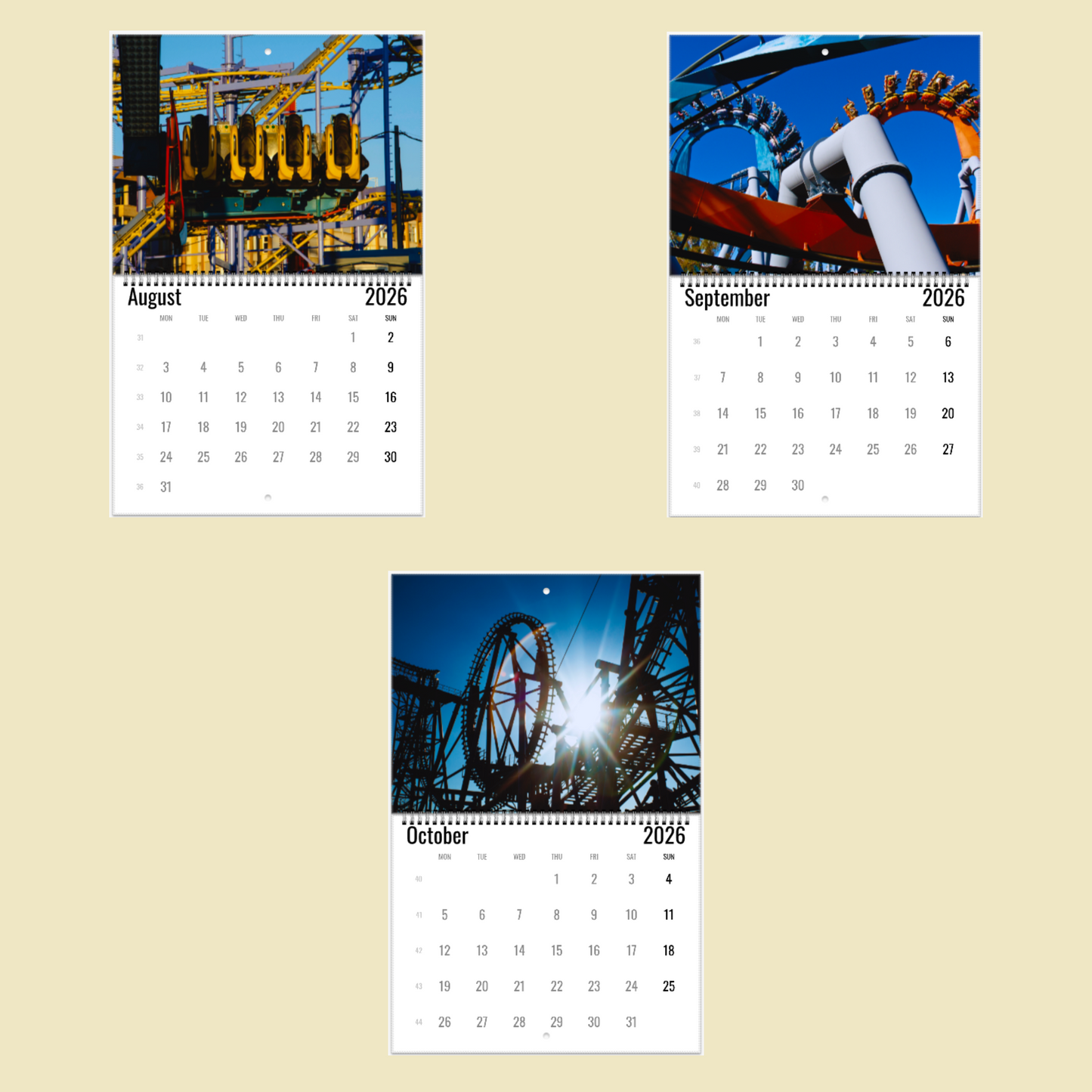 Roller Coaster Wall Calendar 2026