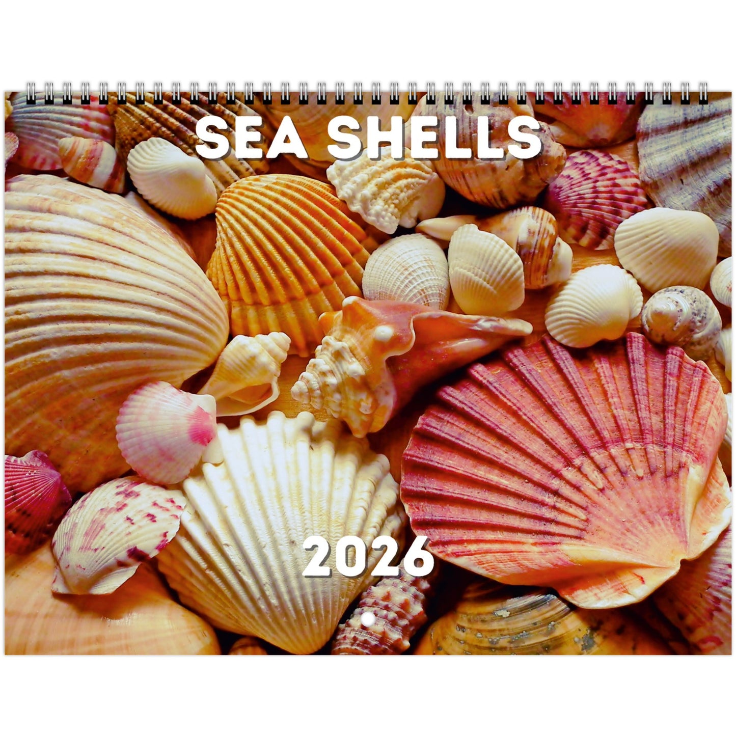 Sea Shells Wall Calendar 2026