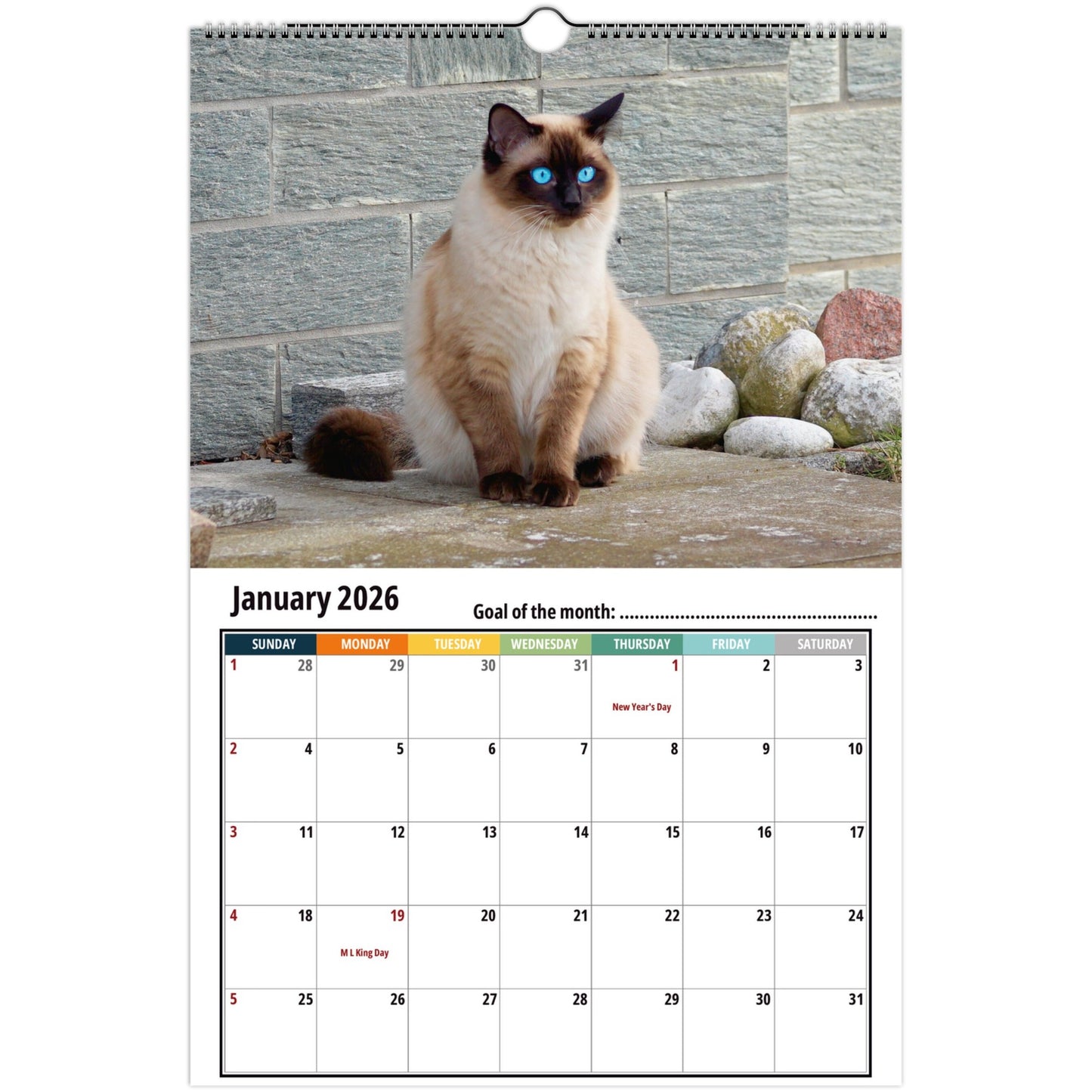 Siamese Cat Calendar 2026...10