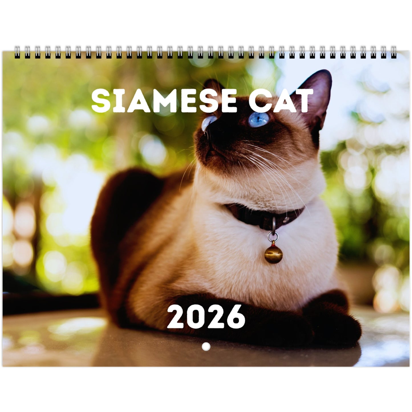 Siamese Cat Wall Calendar 2026