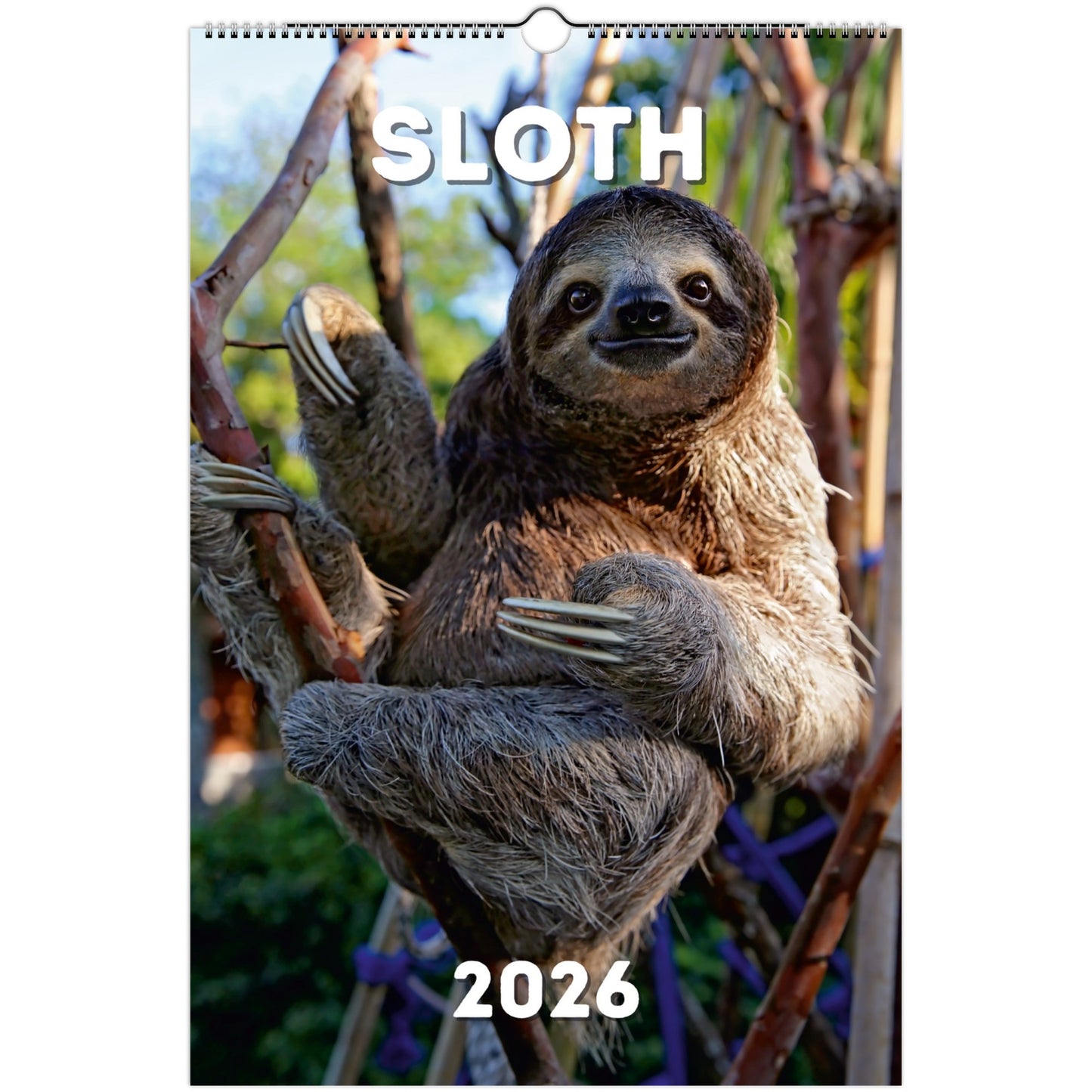 Sloth Wall Calendar 2026
