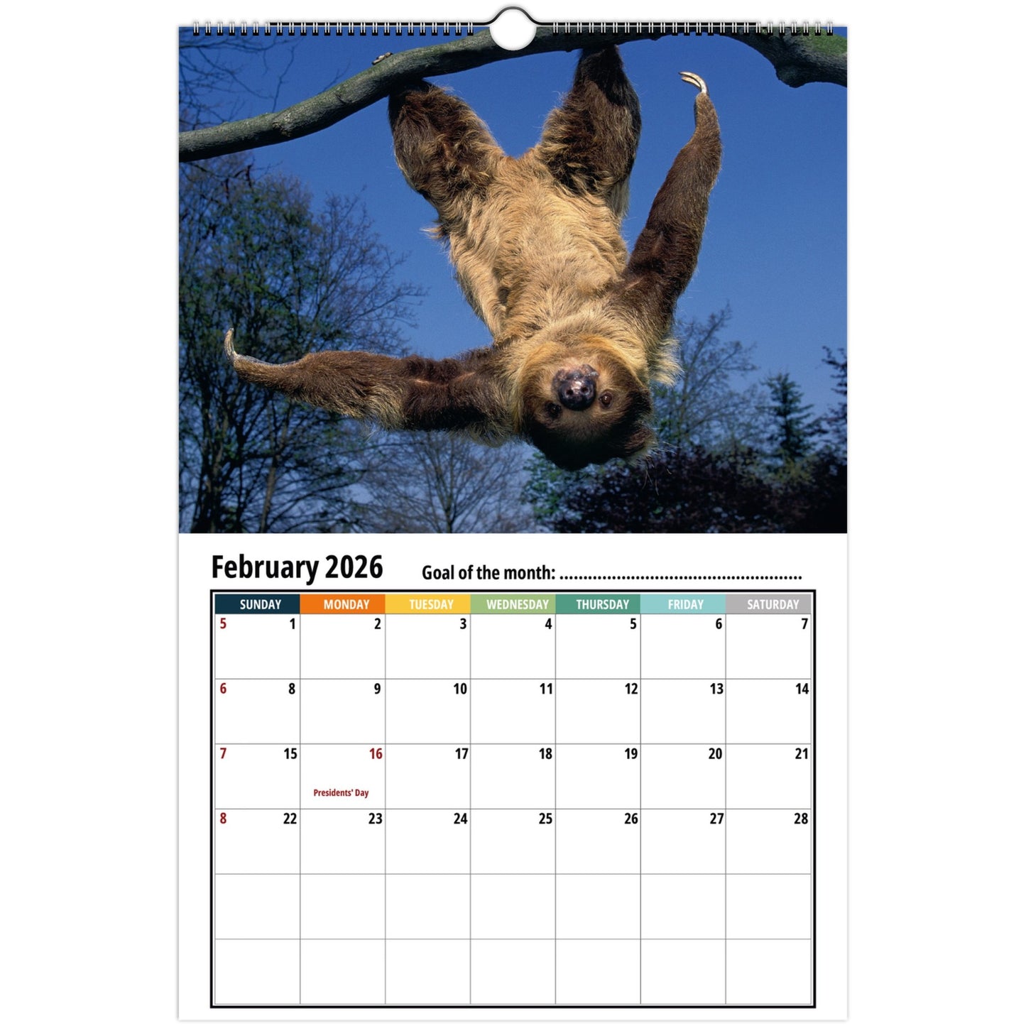 Sloth february 2026