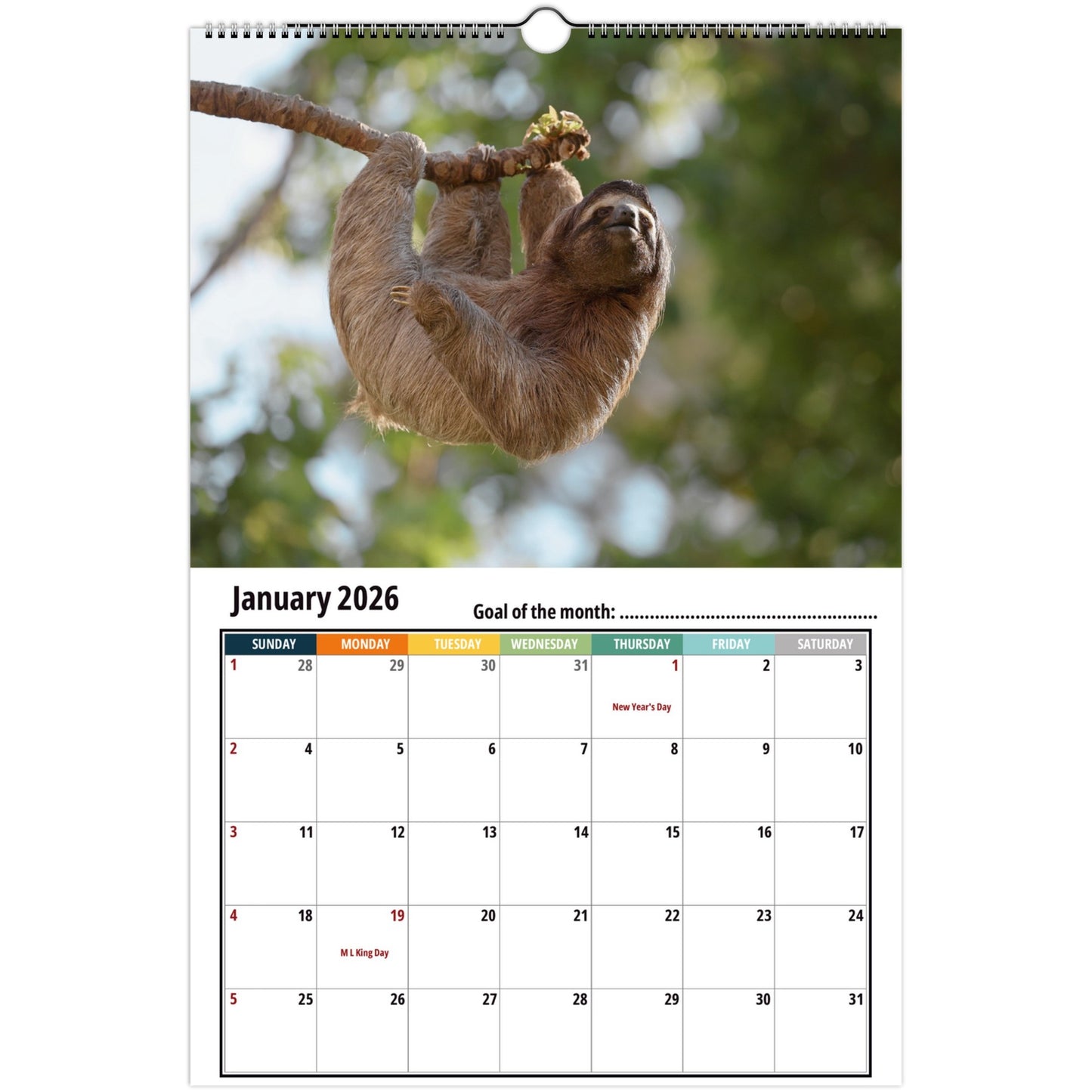Sloth january 2026