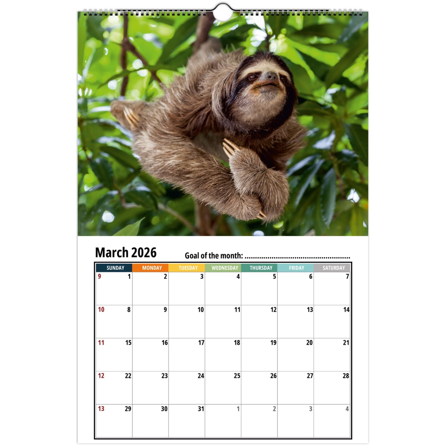 Sloth march 2026