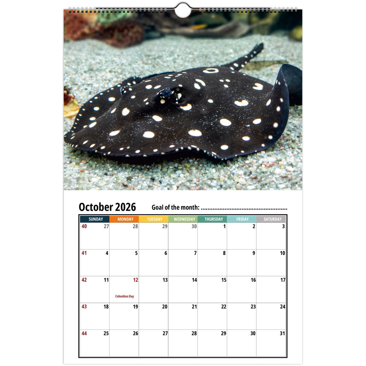 Stingray Calendar 2026