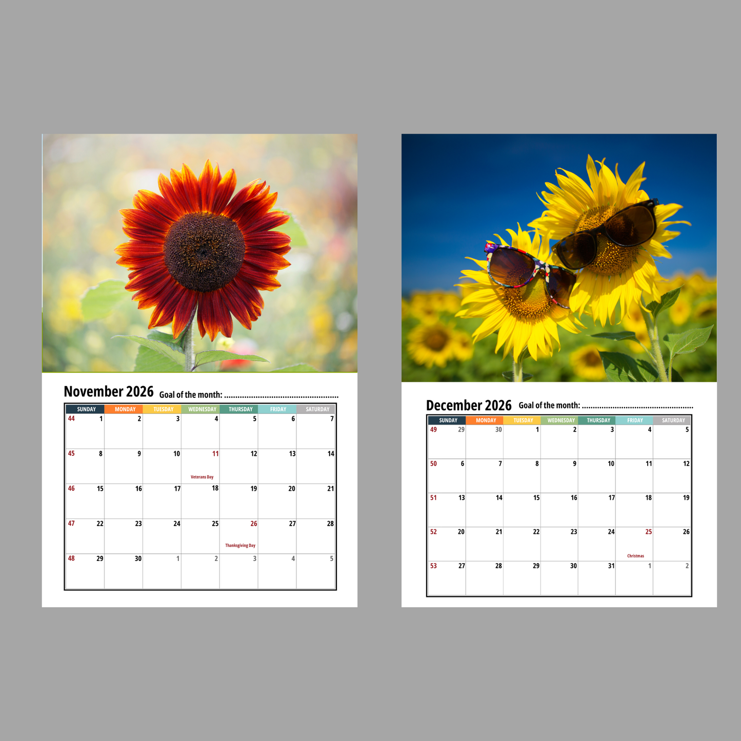 Sunflower Wall Calendar 2026