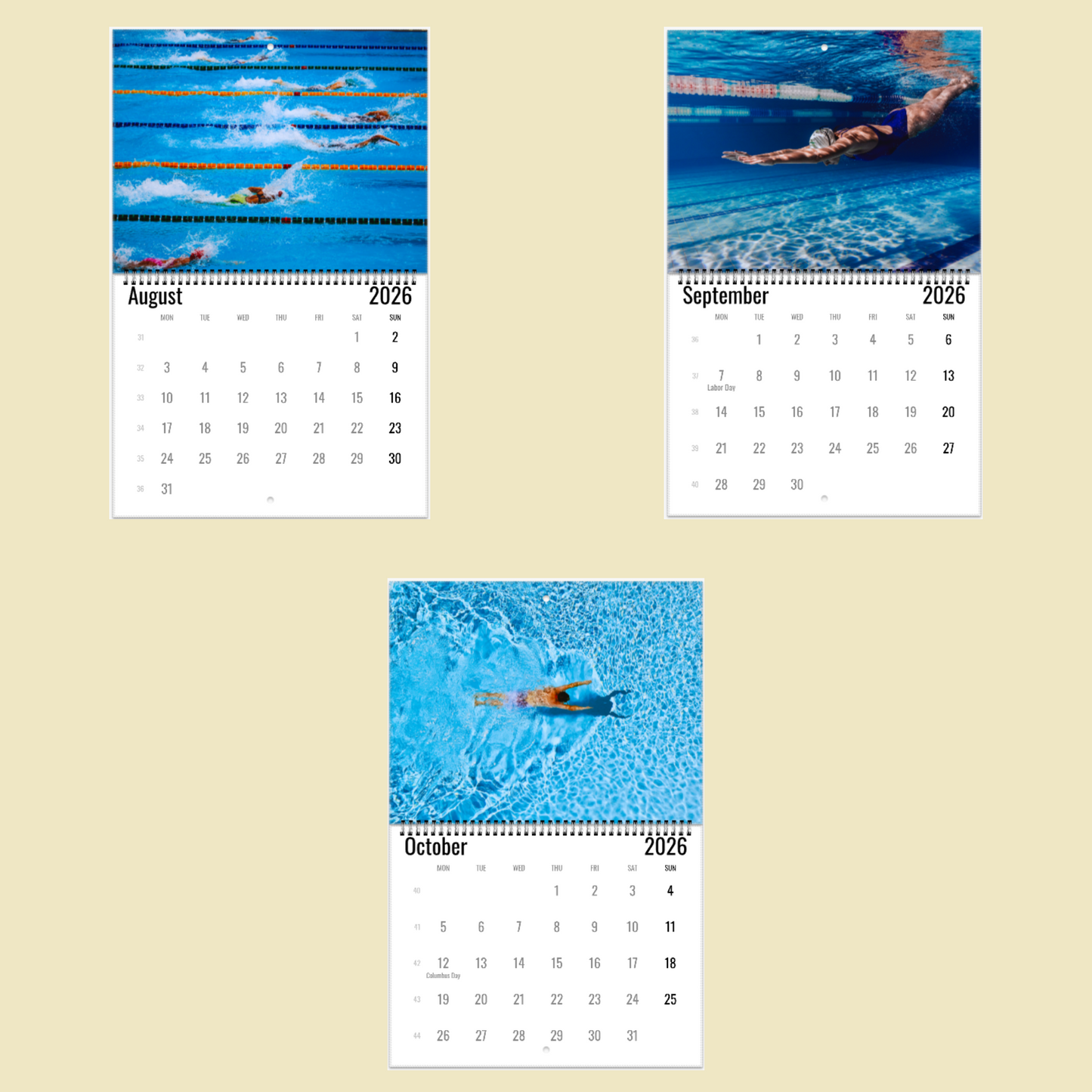 Swimming Wall Calendar 2026