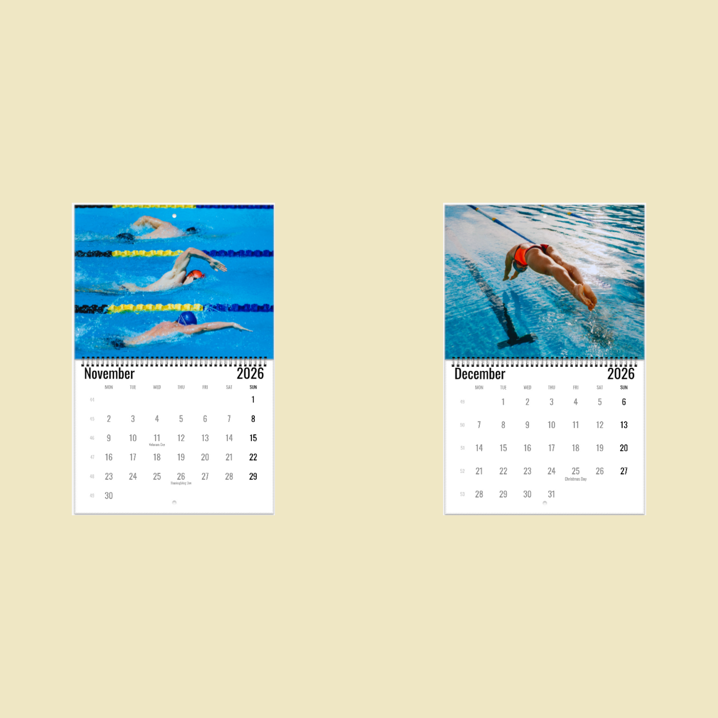 Swimming Wall Calendar 2026