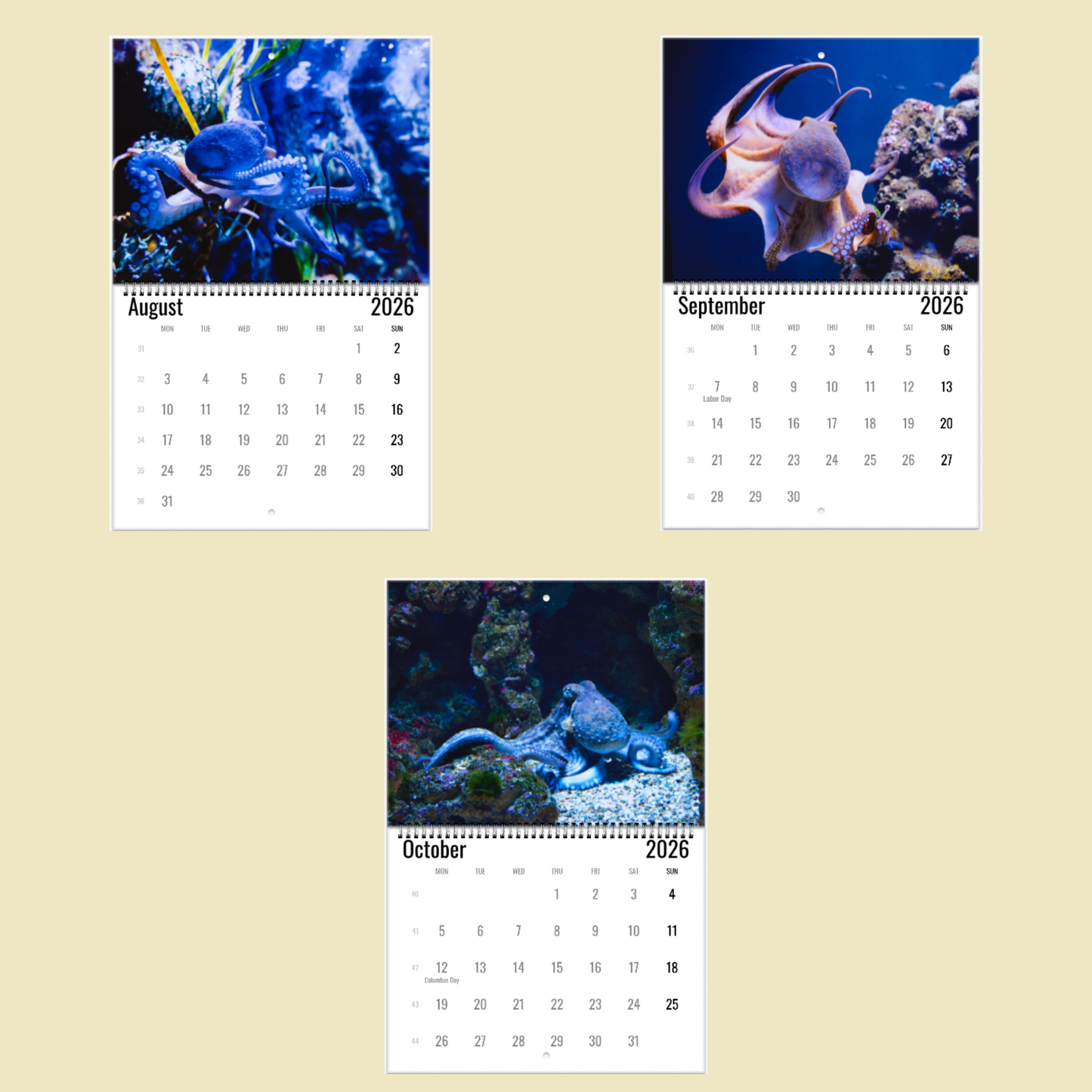 Three calendar pages showing octopus images for August, September, and October 2026 on a beige background.