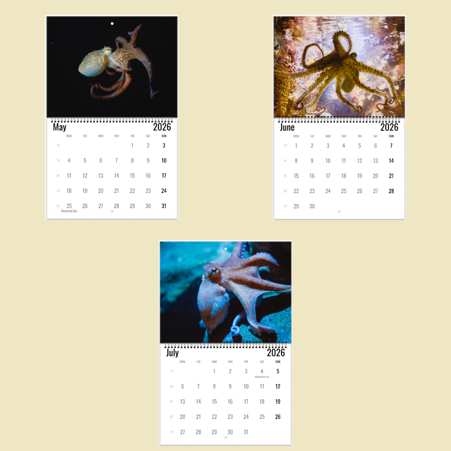 Three calendar pages showing octopus images for May, June, and July 2026 on a beige background.