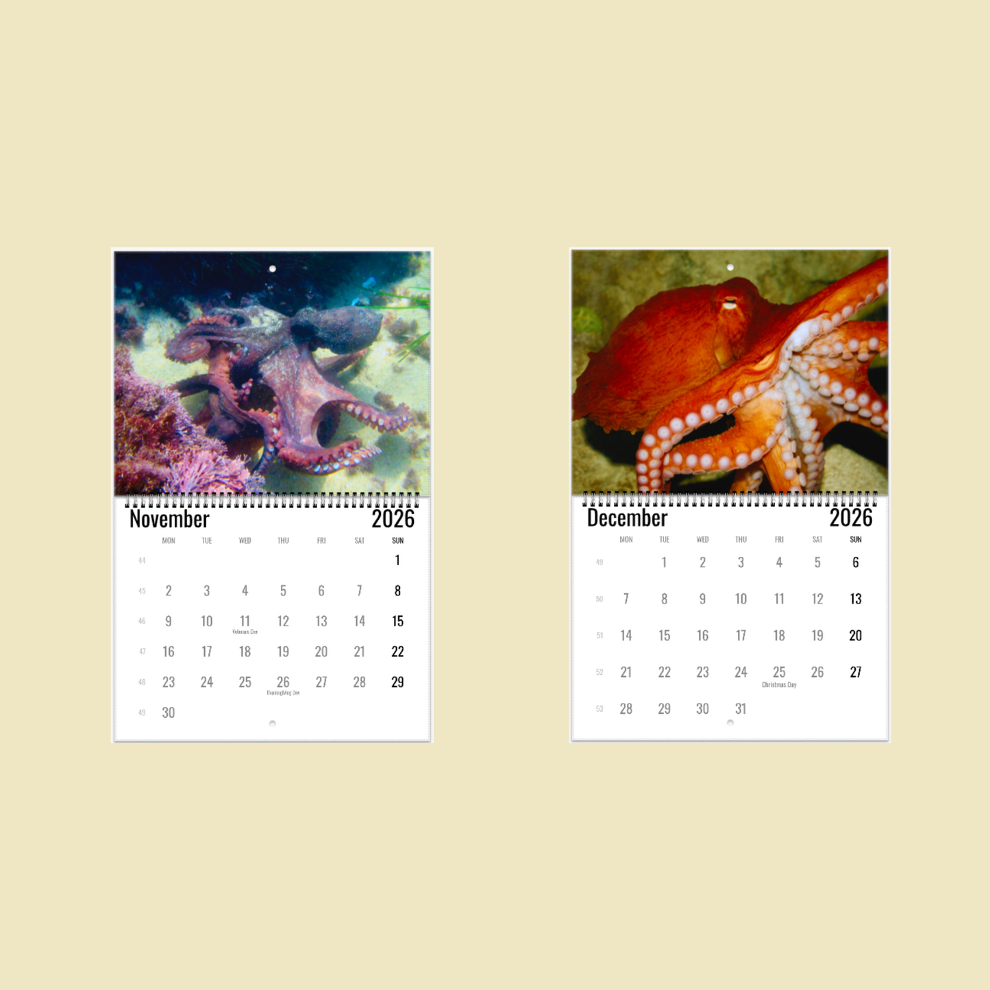Two calendar pages showing octopus images for November and December 2026 on a beige background.
