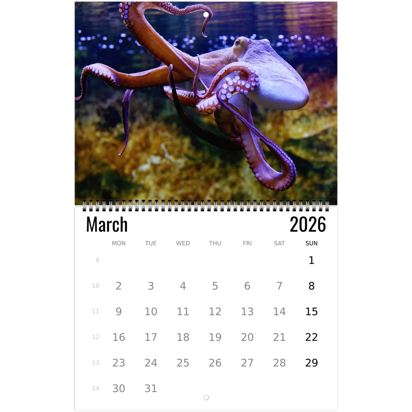 Wall Calendar for March 2026 with an octopus on a white background