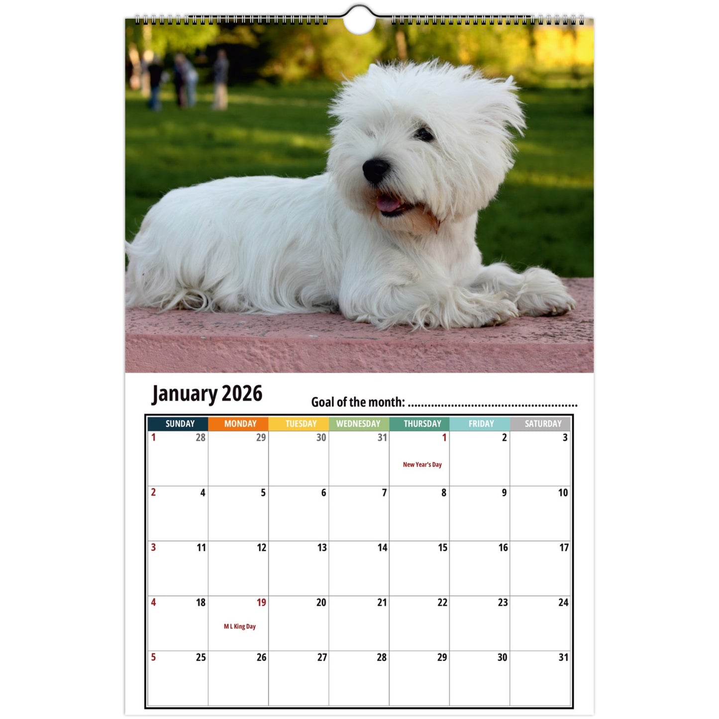 West Highland Terrier Wall Calendar 2026 1