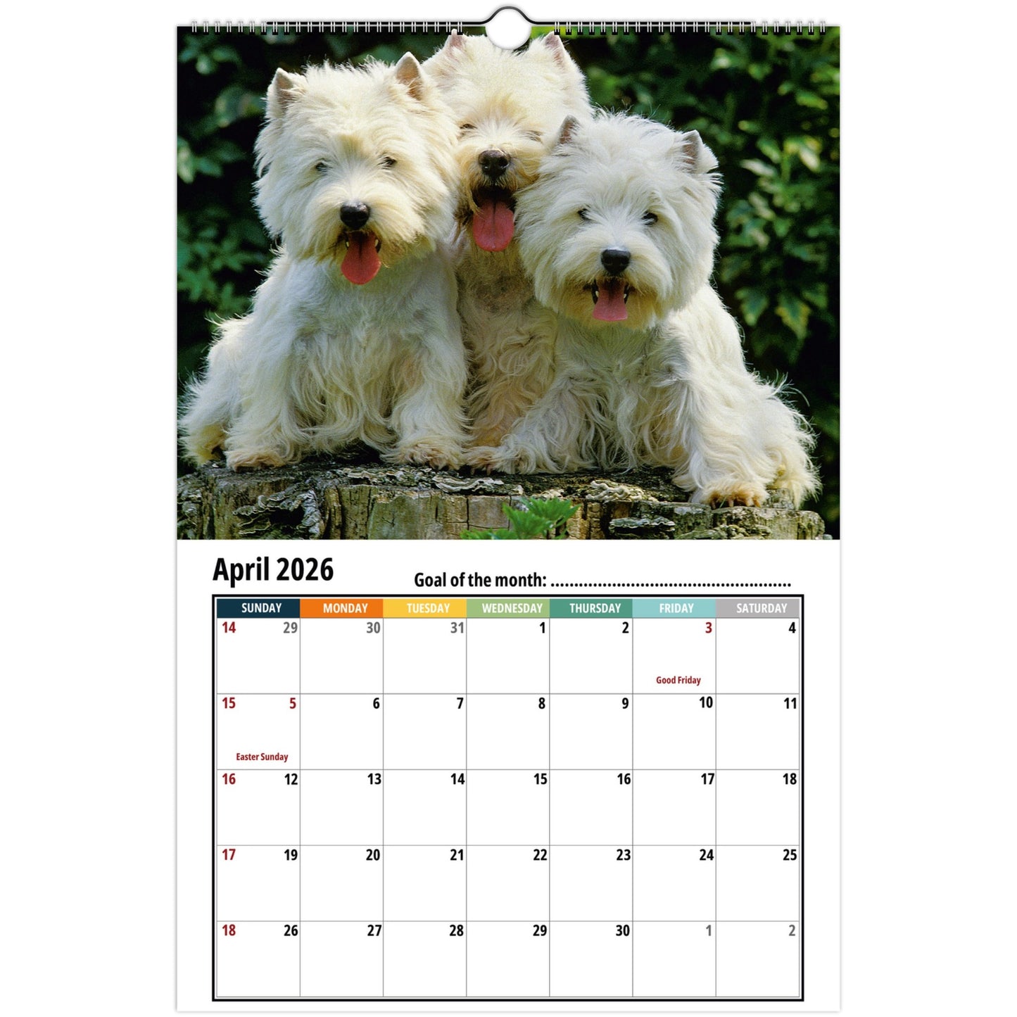 West Highland Terrier Wall Calendar 2026 3