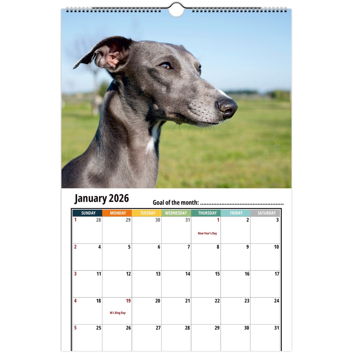 Whippet Wall Calendar 2026 1