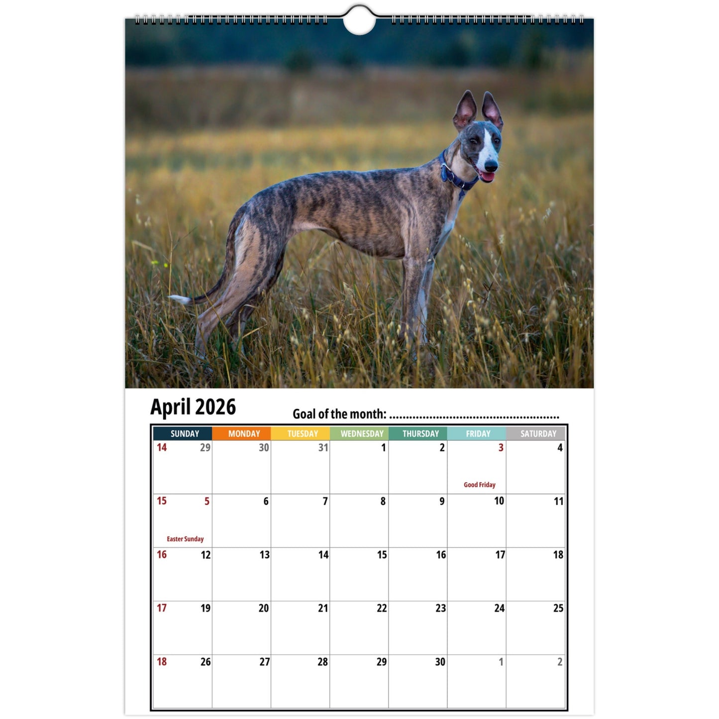 Whippet Wall Calendar 2026 2