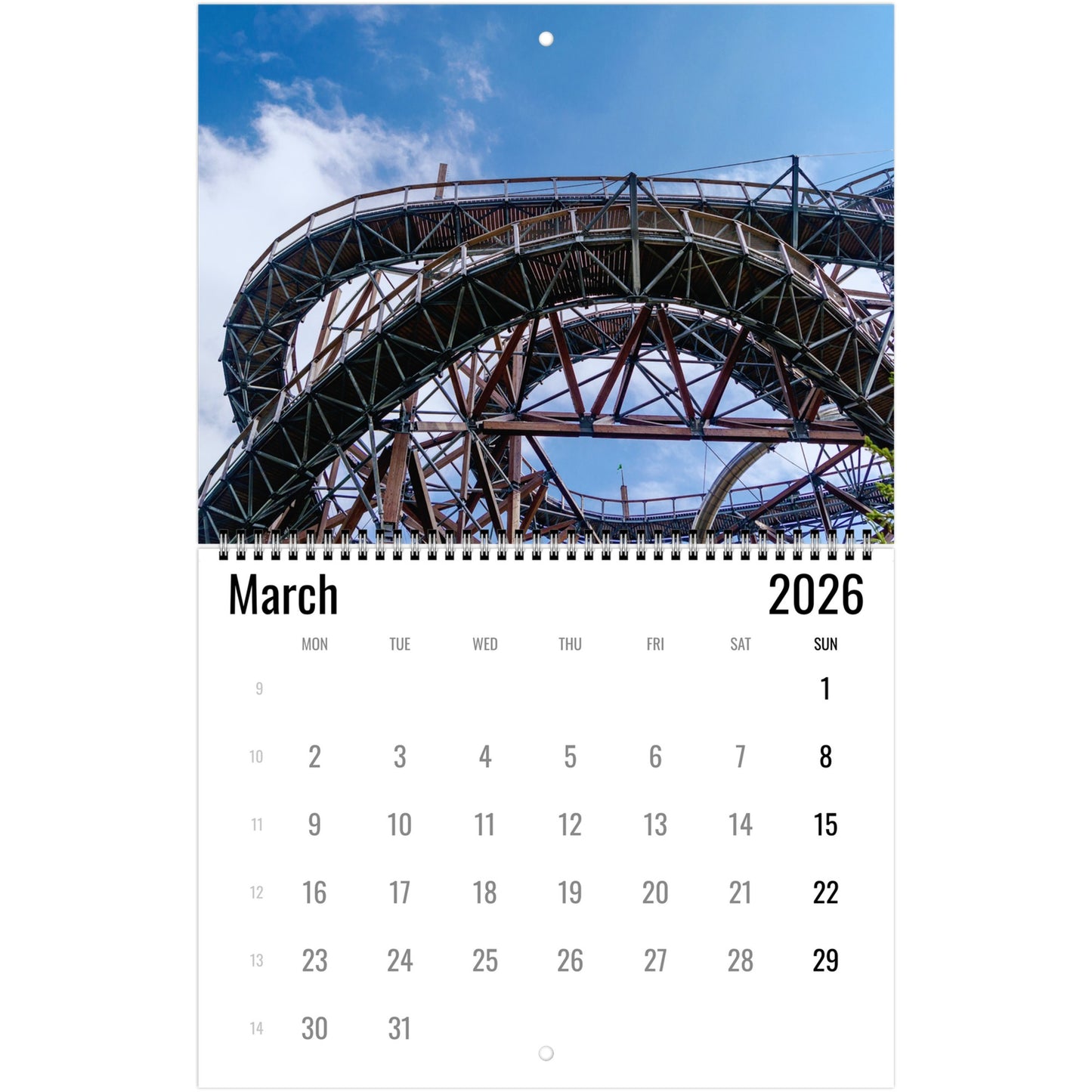 Roller Coaster Wall Calendar 2026