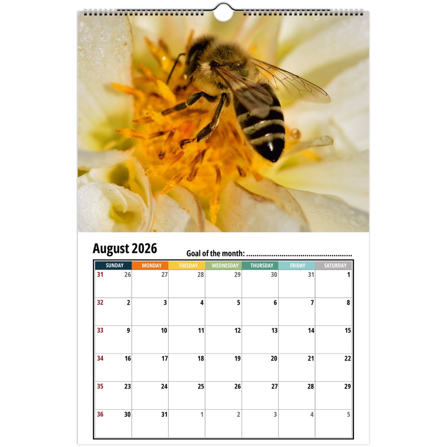 Bee Wall Calendar 2026