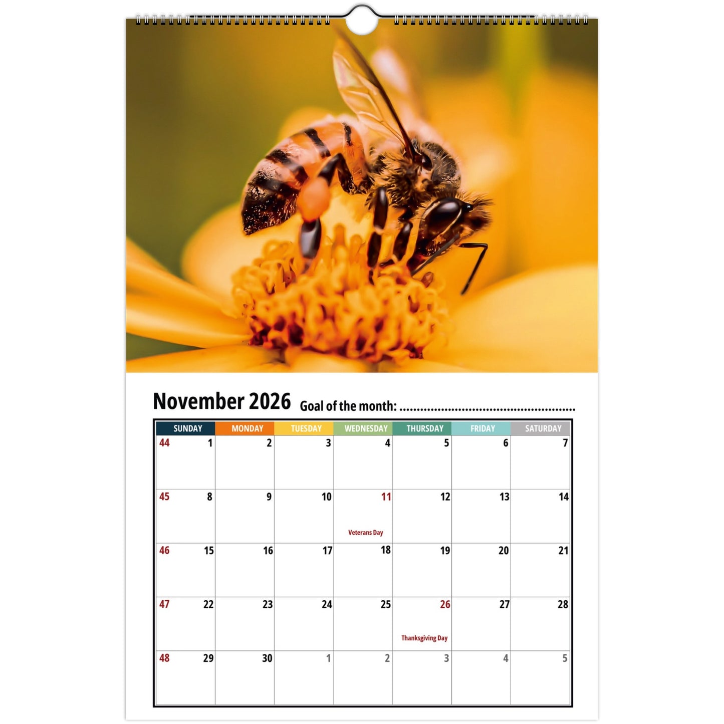 Bee Wall Calendar 2026