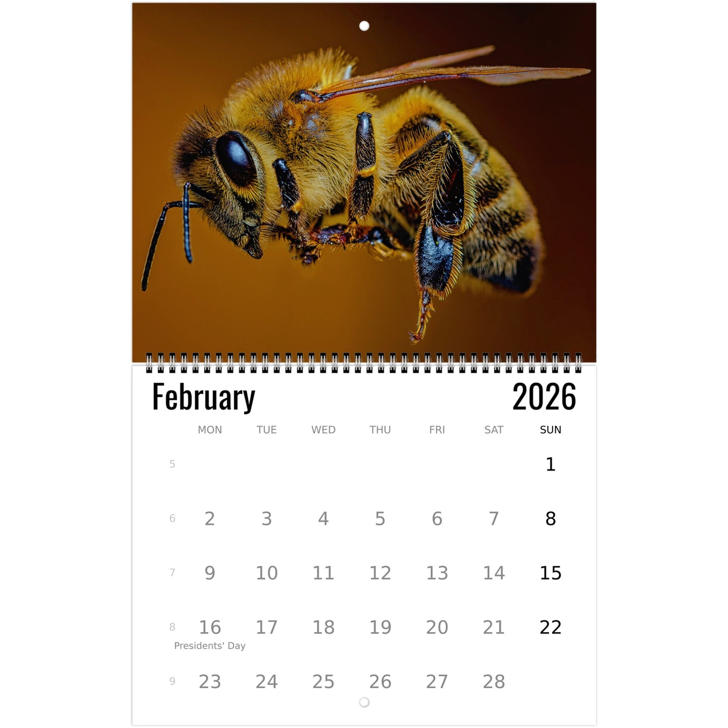 bee february 2026