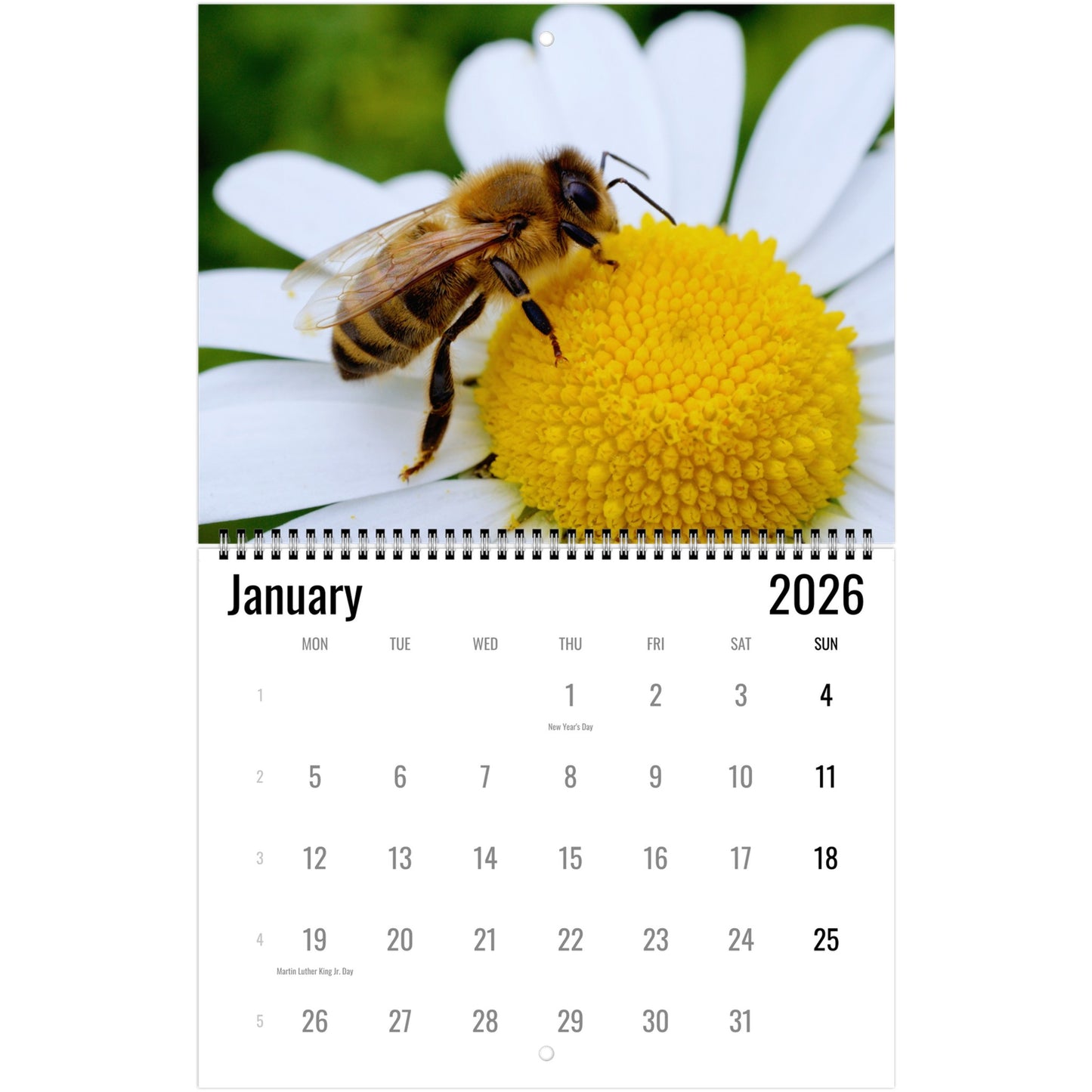 bee january 2026
