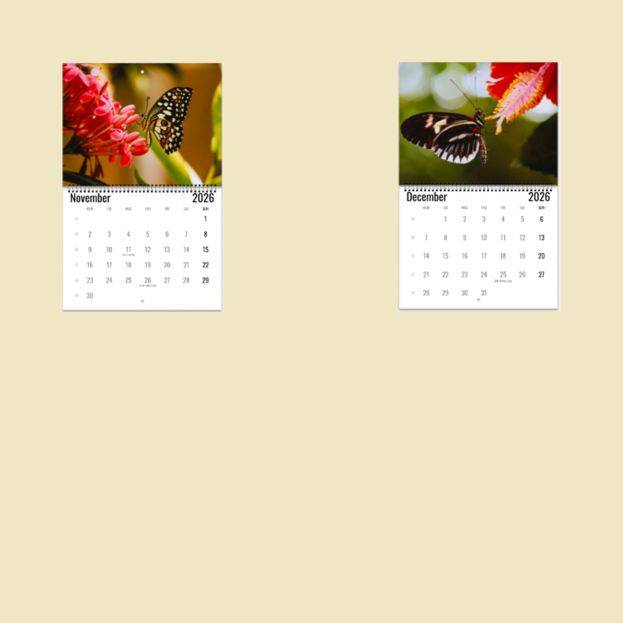 Butterfly Wall Calendar 2026