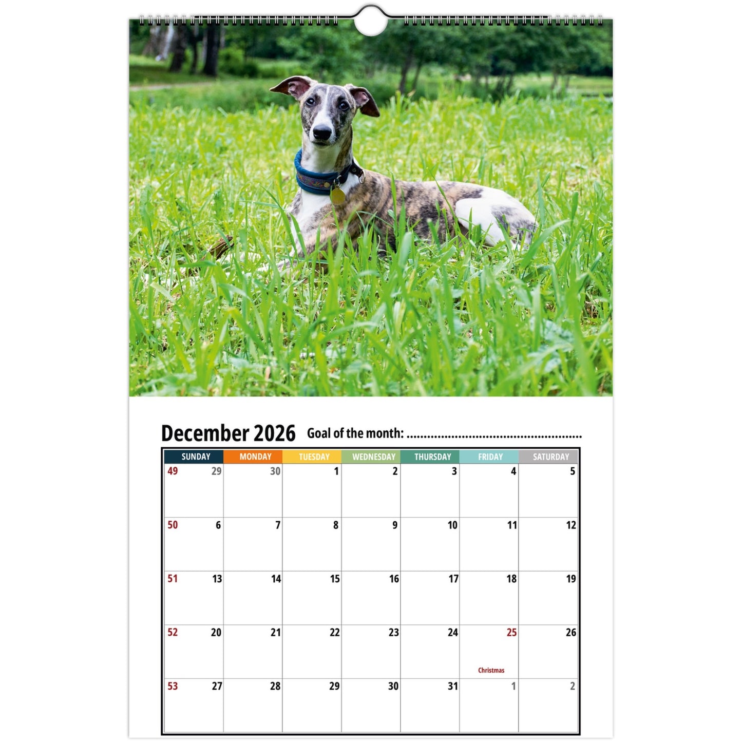 c2f4b2e2-82c5-42ce-9690-35100c3a3fc4