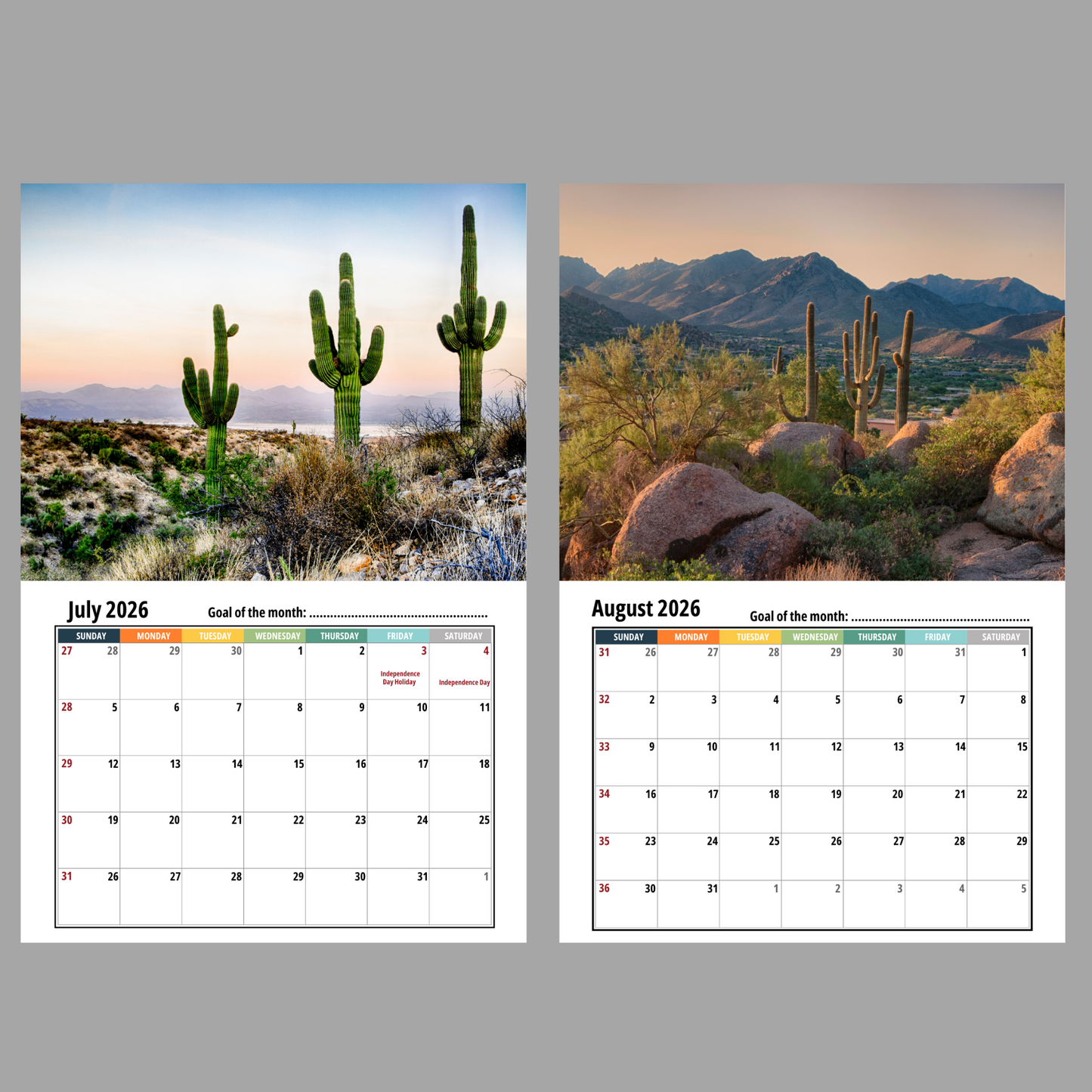 Cactus Wall Calendar 2026