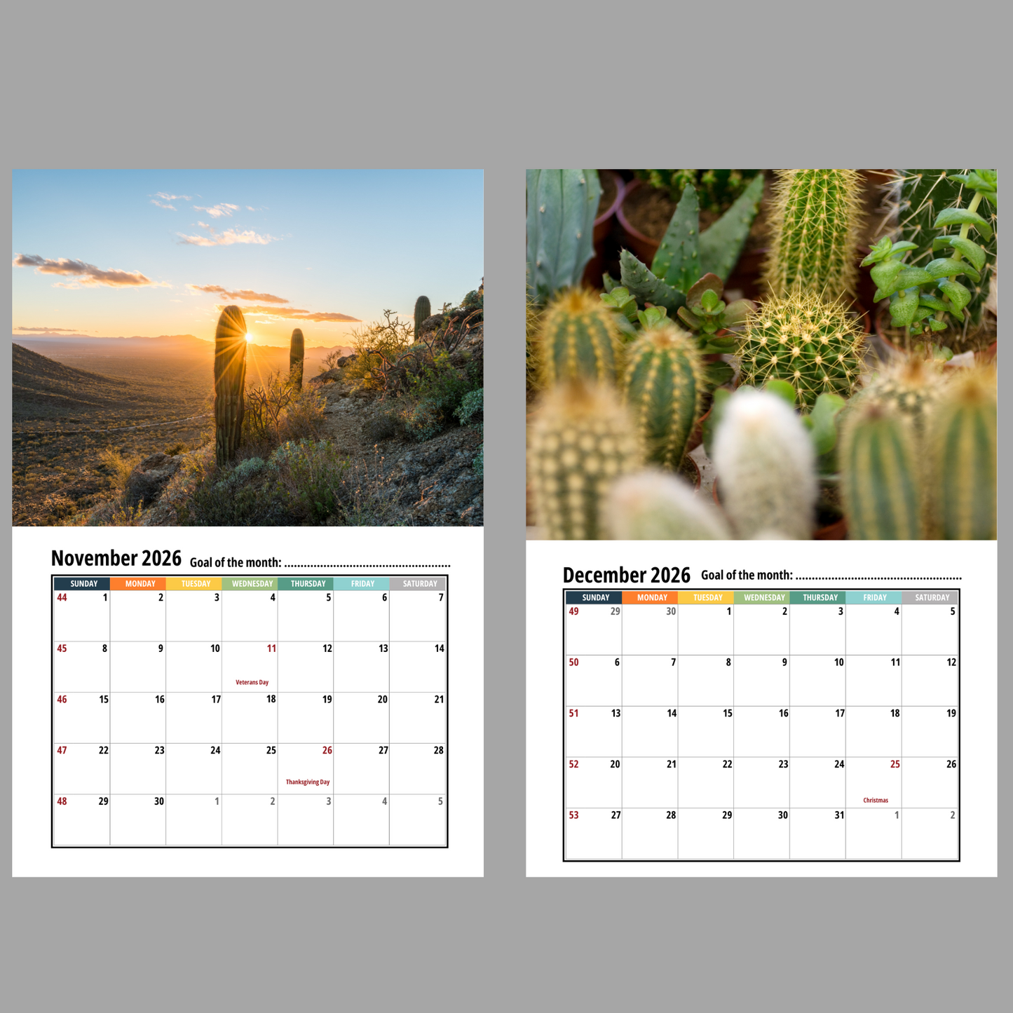 Cactus Wall Calendar 2026