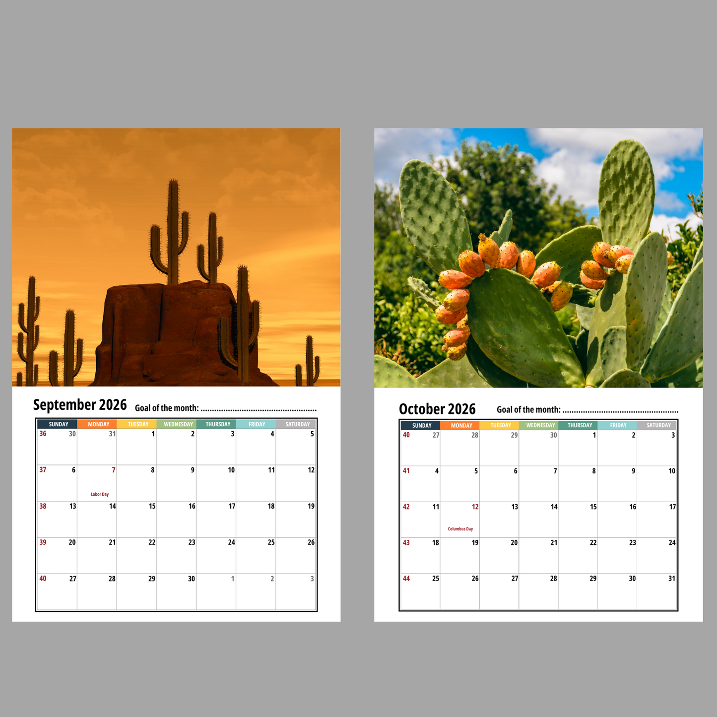 Cactus Wall Calendar 2026