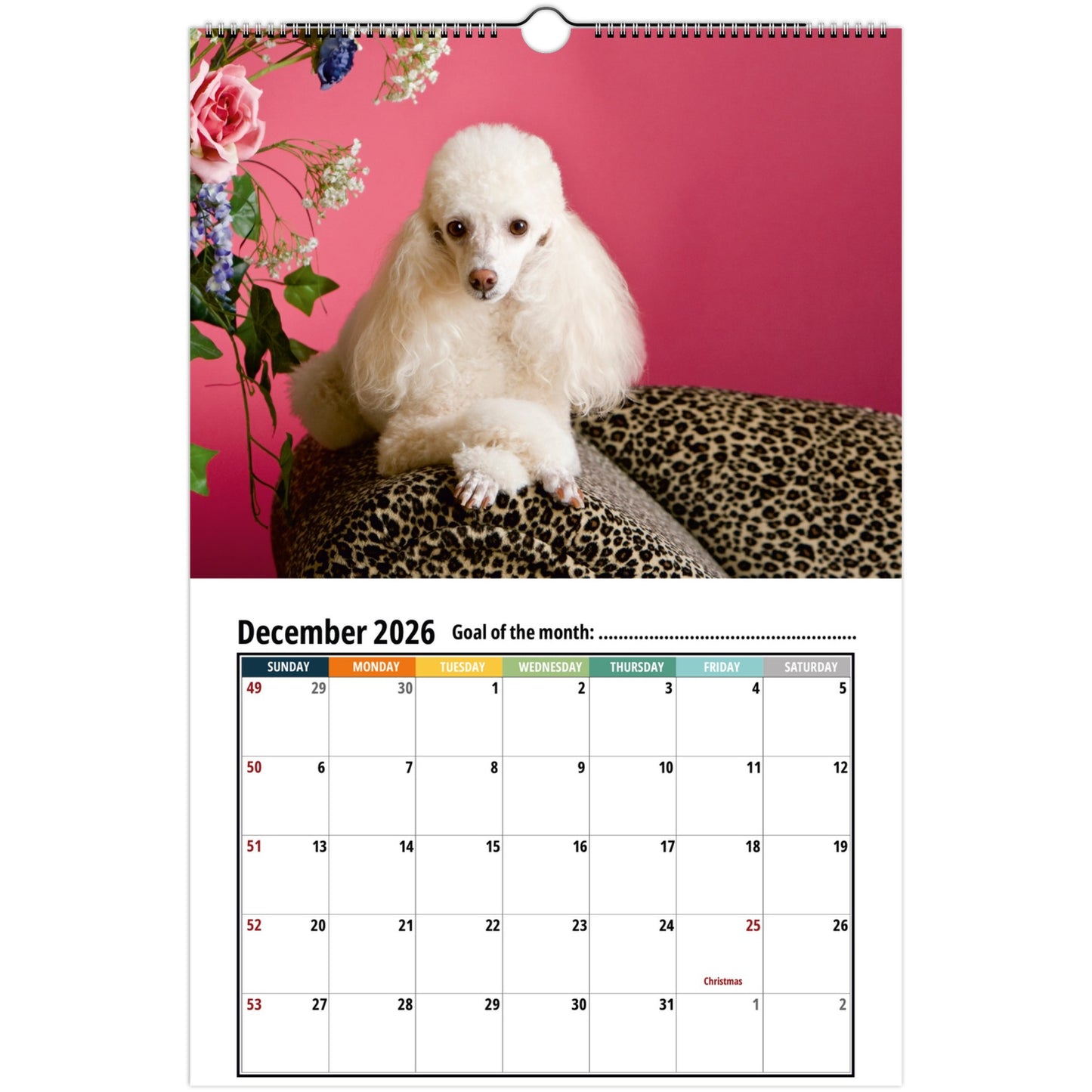 d11e0526-9bc1-425c-86e2-4f863ce5f4af